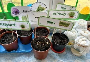 Biedroneczki w ogrodzie!